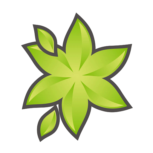 Hydrangea paniculata 'Limelight'