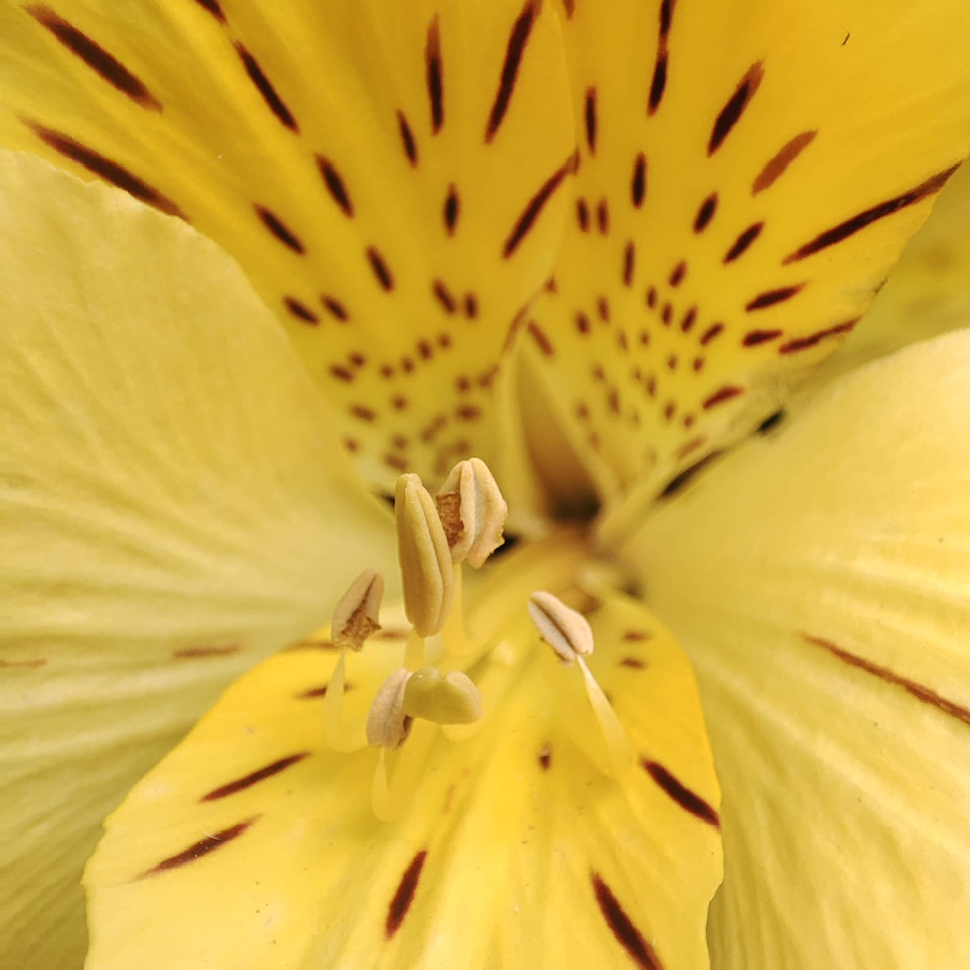 &eacute;cosyst&egrave;me sain